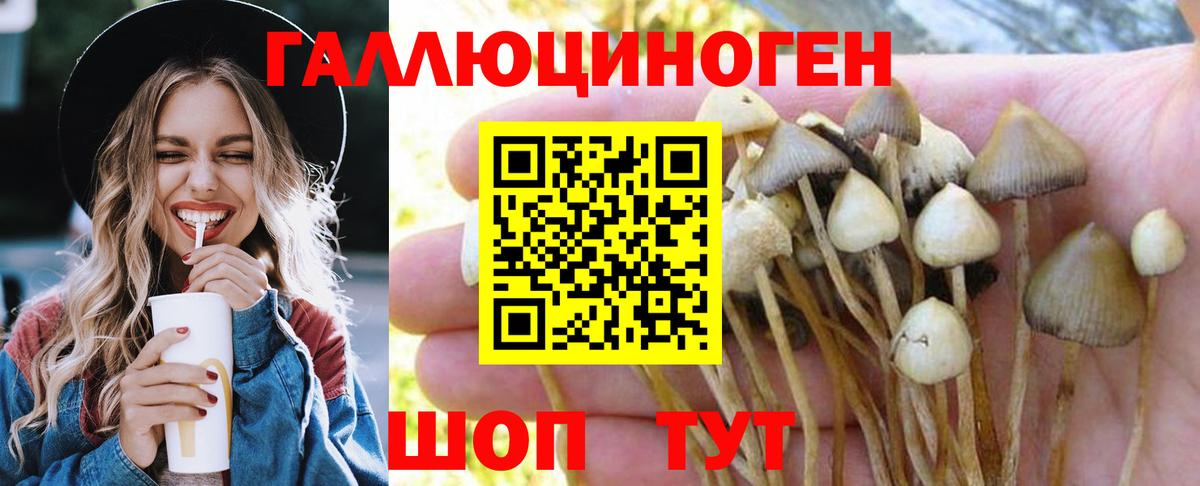 Каменск-Шахтинский  Псилоцибиновые грибы Magic Shrooms  Псилоцибиновые грибы мухоморы  Вход с VPN 