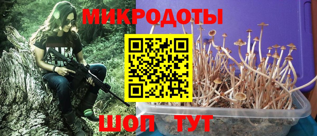 Галлюциногенные грибы мицелий Каменск-Шахтинский